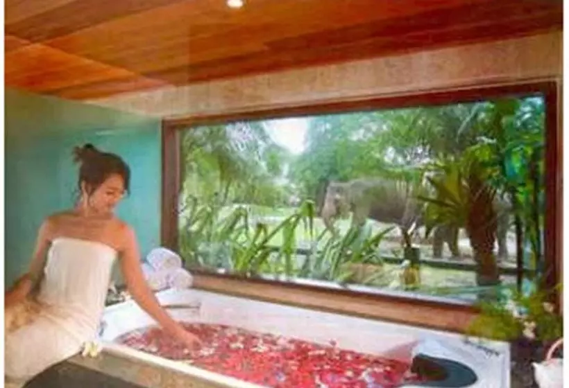 Fotos del hotel Mason Elephant Lodge:  12