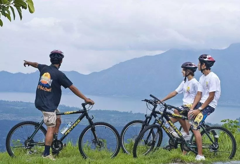 Fotos del hotel Mason Elephant Lodge:  9