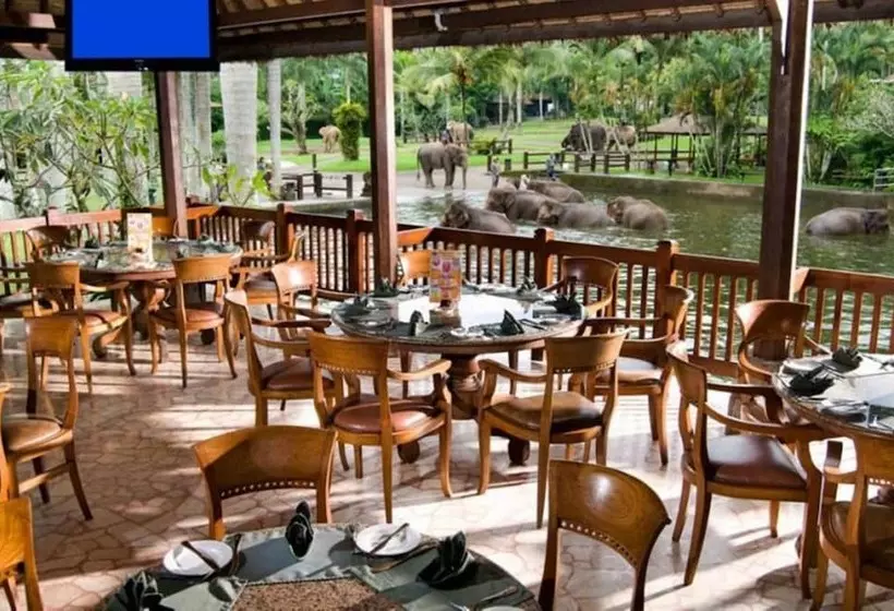 Fotos del hotel Mason Elephant Lodge:  4