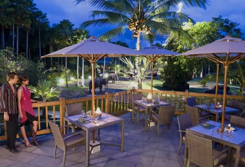 Fotos del hotel Mason Elephant Lodge:  6