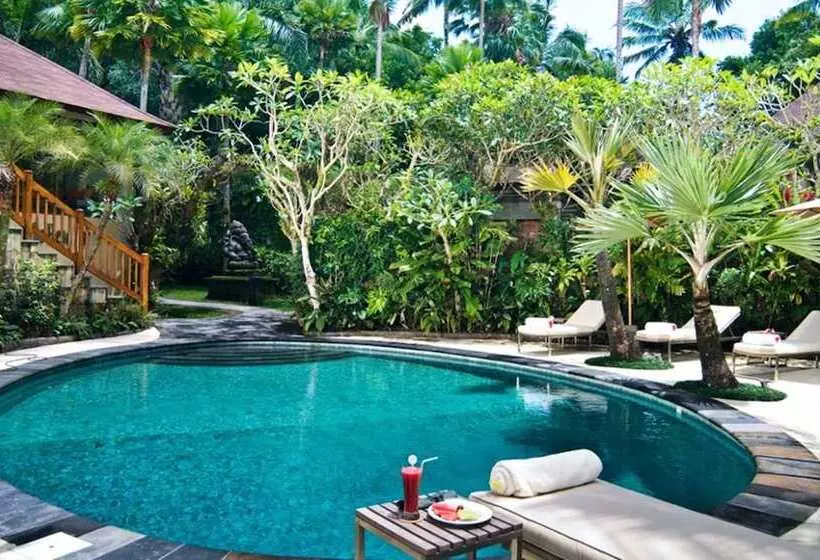 Fotos del hotel Mason Elephant Lodge:  2