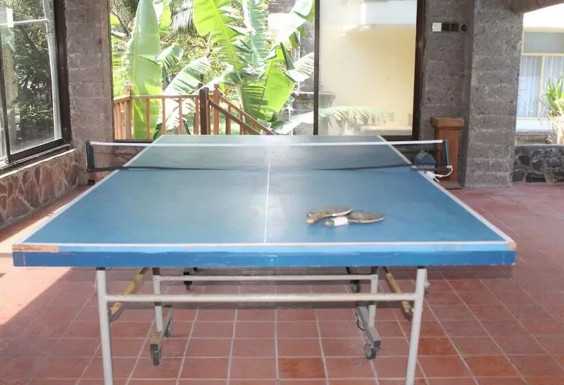 Fotos del hotel Melasti Kuta Bungalows & Spa:  4