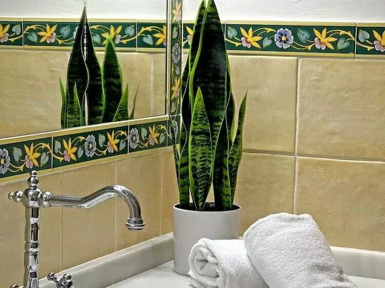 Fotos del hotel Itaca Sevilla:  24