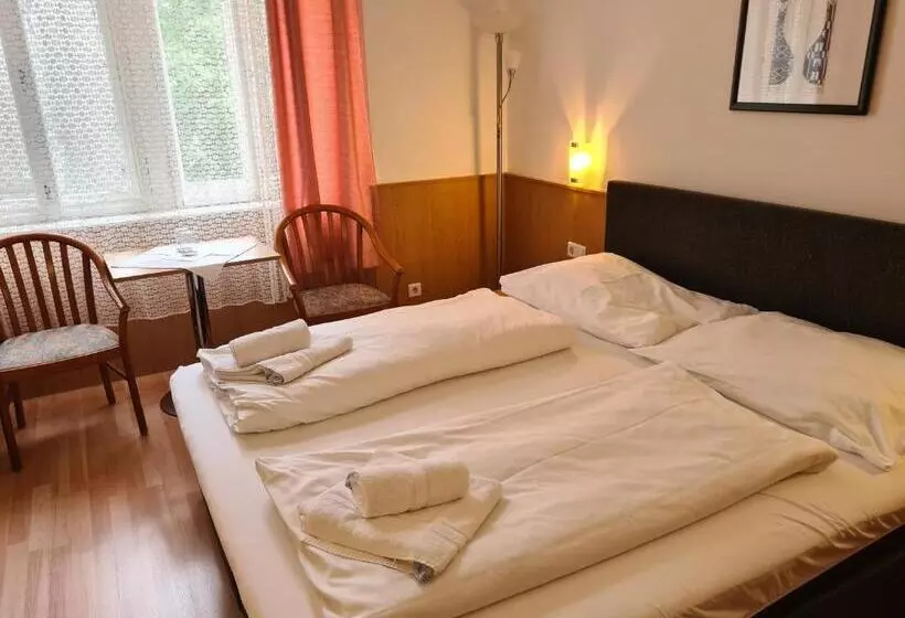 Fotos del hotel Pension Anifalstaff:  18