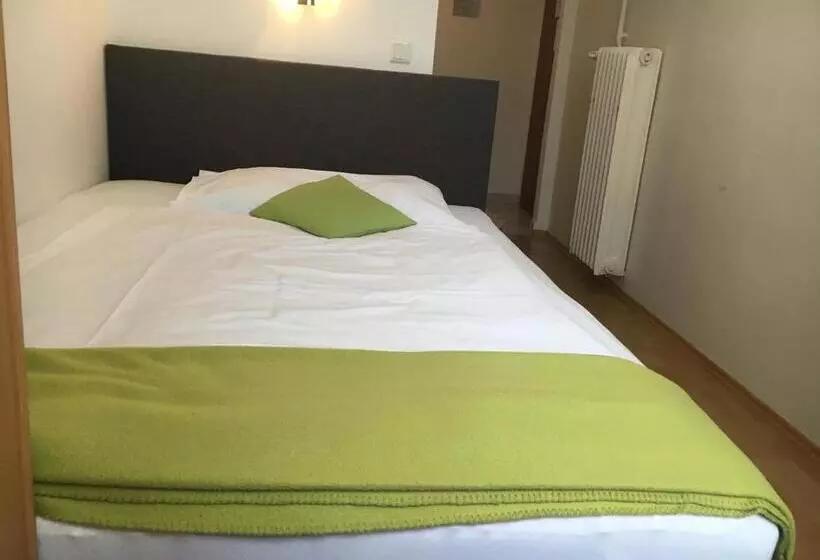 Fotos del hotel Pension Anifalstaff:  23