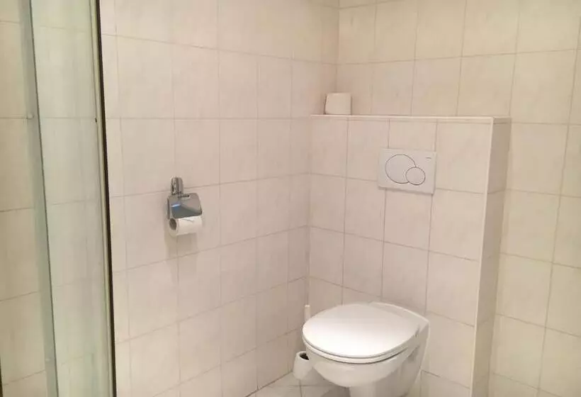 Fotos del hotel Pension Anifalstaff:  8