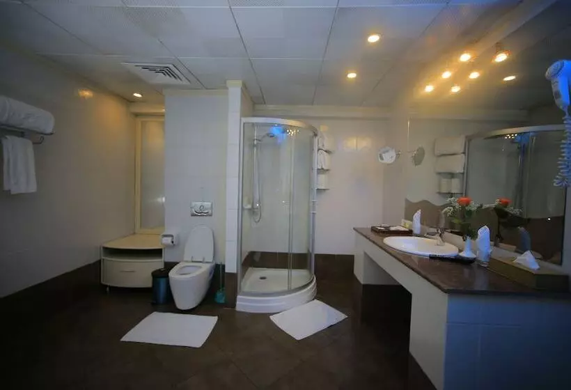 Fotos del hotel Intercontinental Hotel Addis:  8