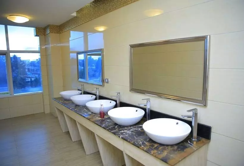 Fotos del hotel Intercontinental Hotel Addis:  7