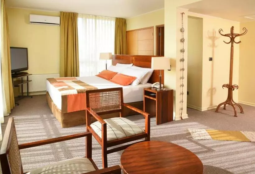 Fotos del hotel Solace Hotel Puerto Varas:  20