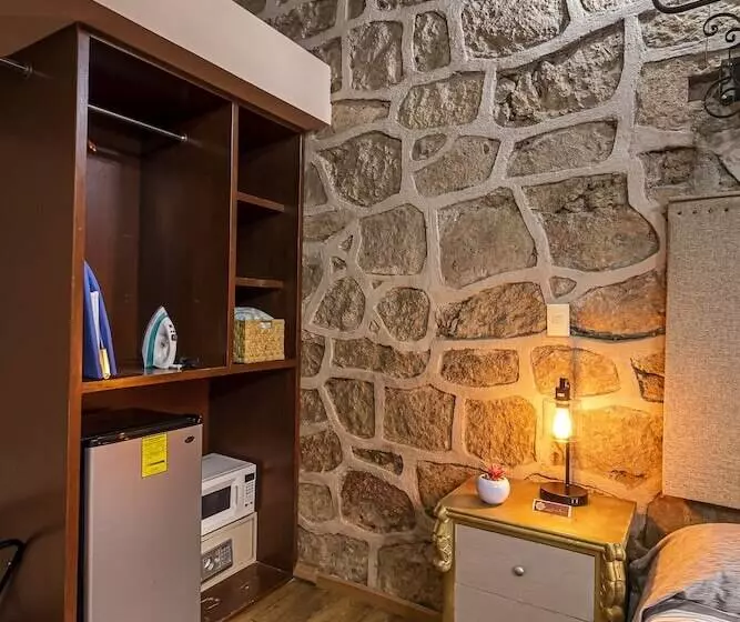 Fotos del hotel Hotel Cantera Rosa:  22