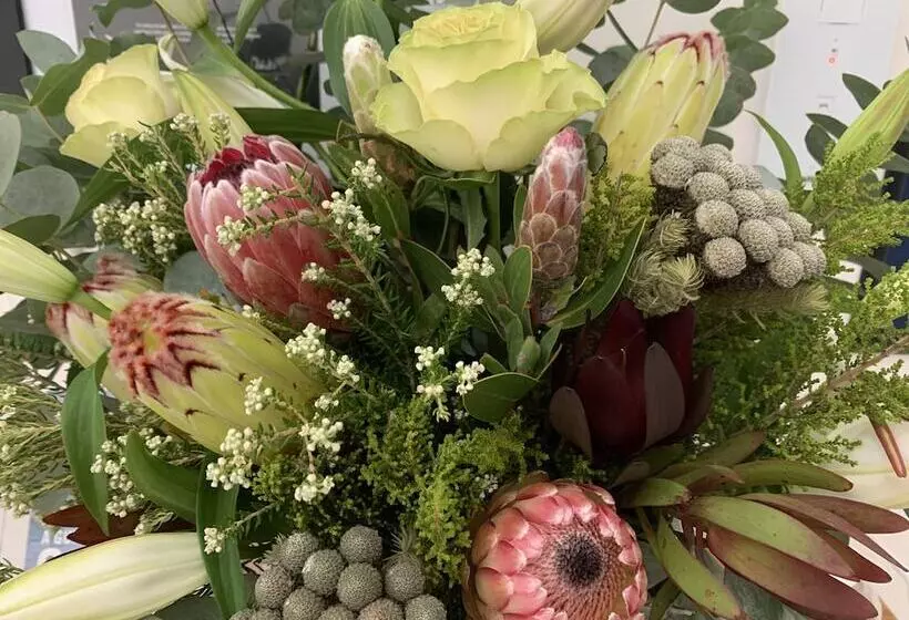 Fotos del hotel Villa Afrikana Guest Suites:  7