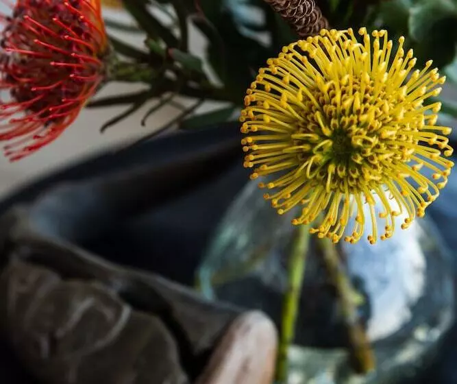 Fotos del hotel Villa Afrikana Guest Suites:  15