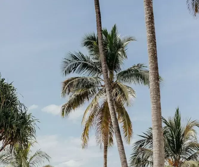 Fotos del hotel Lux Marijani Zanzibar:  21
