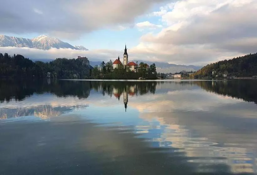 Fotos del hotel Pension Ttt:  6