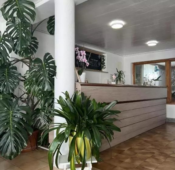 Fotos del hotel Pension Ttt:  2