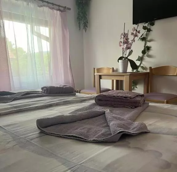 Fotos del hotel Pension Ttt:  24