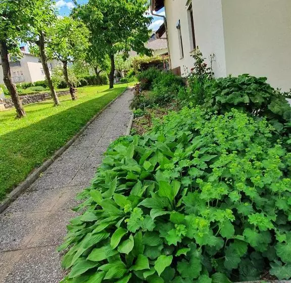 Fotos del hotel Pension Ttt:  11