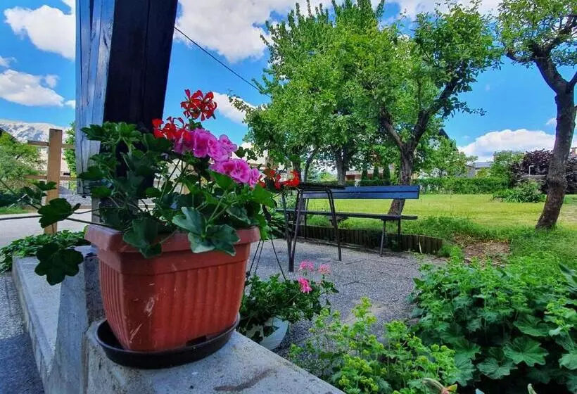 Fotos del hotel Pension Ttt:  9