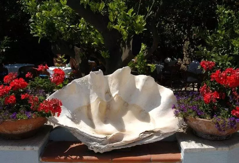 Fotos del hotel San Felice:  3