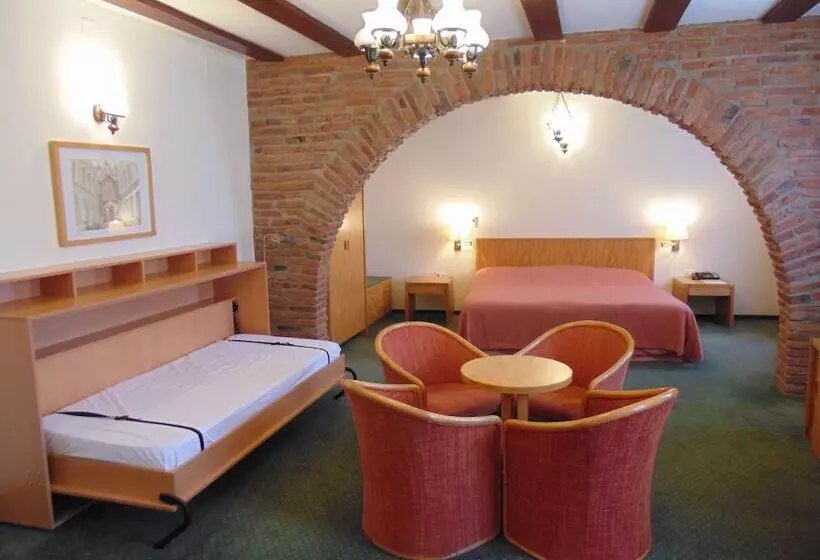 Fotos del hotel Curtea Brasoveana:  19