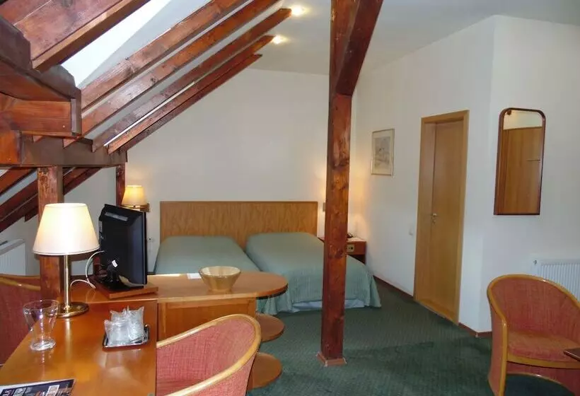 Fotos del hotel Curtea Brasoveana:  23