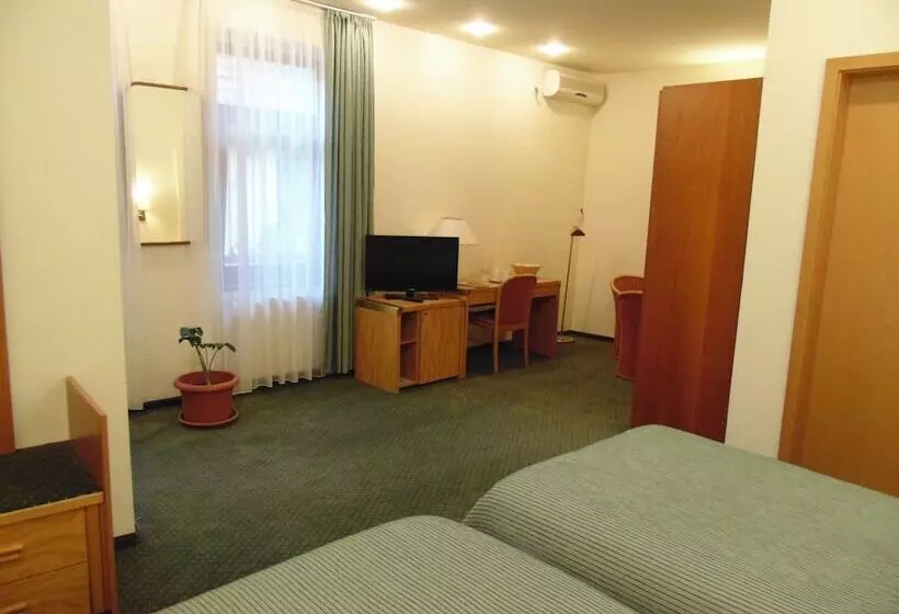 Fotos del hotel Curtea Brasoveana:  12