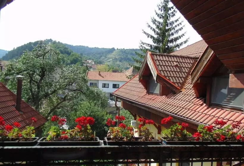 Fotos del hotel Curtea Brasoveana:  10