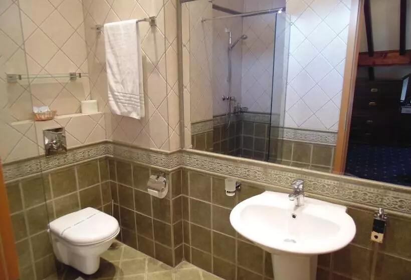 Fotos del hotel Curtea Brasoveana:  7