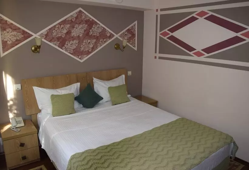 Fotos del hotel Michelangelo:  8