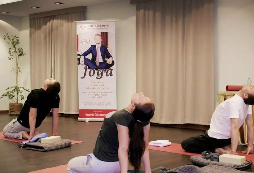 Fotos del hotel Park Hotel Diament Katowice:  11