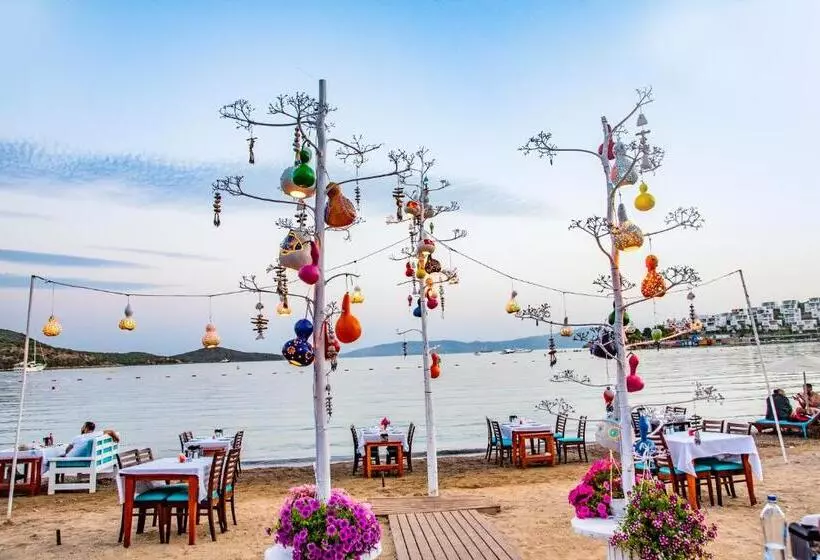 Fotos del hotel Blue Bay Beach:  20