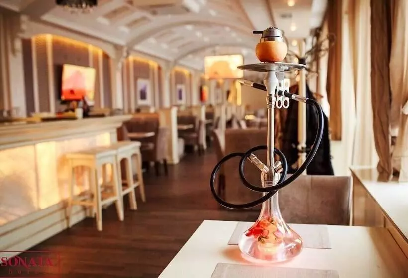 Fotos del hotel Sonata:  25