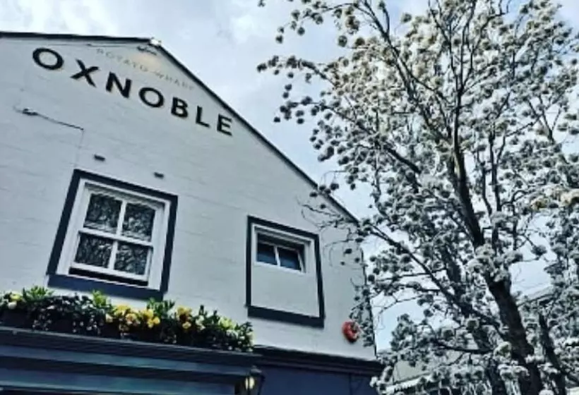 Fotos del hotel The Oxnoble:  6