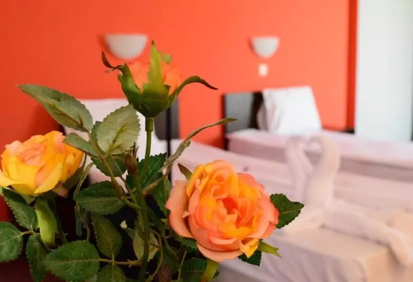 Fotos del hotel Alexander:  23