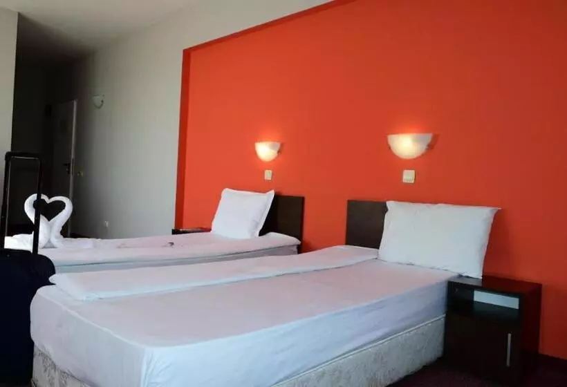 Fotos del hotel Alexander:  12