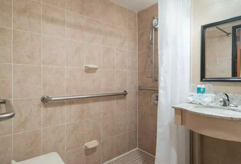 Fotos del hotel Holiday Inn Express - Wall Street, An Ihg:  19