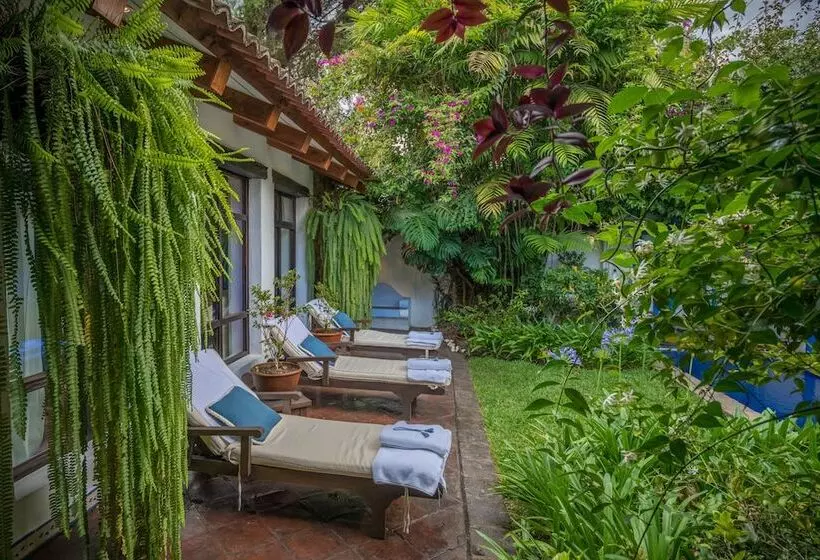 Fotos del hotel Casa Encantada:  10