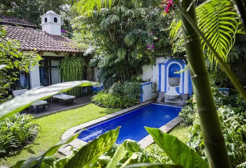 Fotos del hotel Casa Encantada:  9