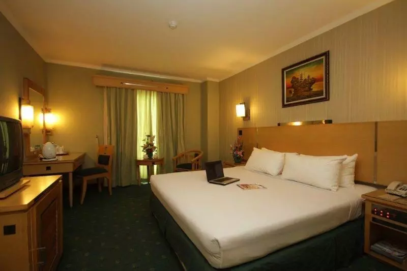 Fotos del hotel Kaisar:  9