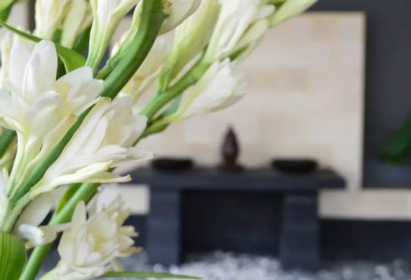 Fotos del hotel Ameera Boutique:  14