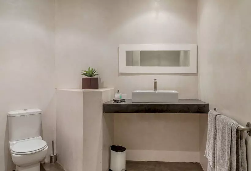 Fotos del hotel Colourful Manor Luxury Lodge:  4