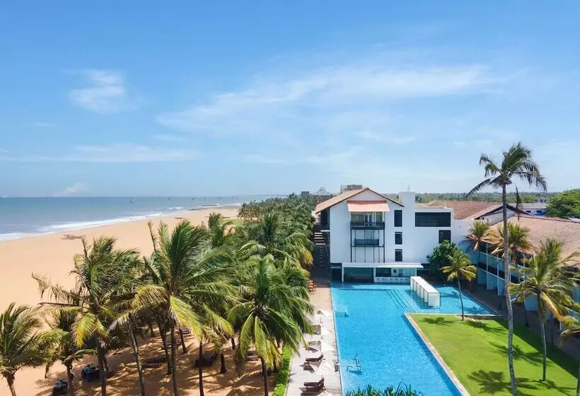 Fotos del hotel Jetwing Blue:  9