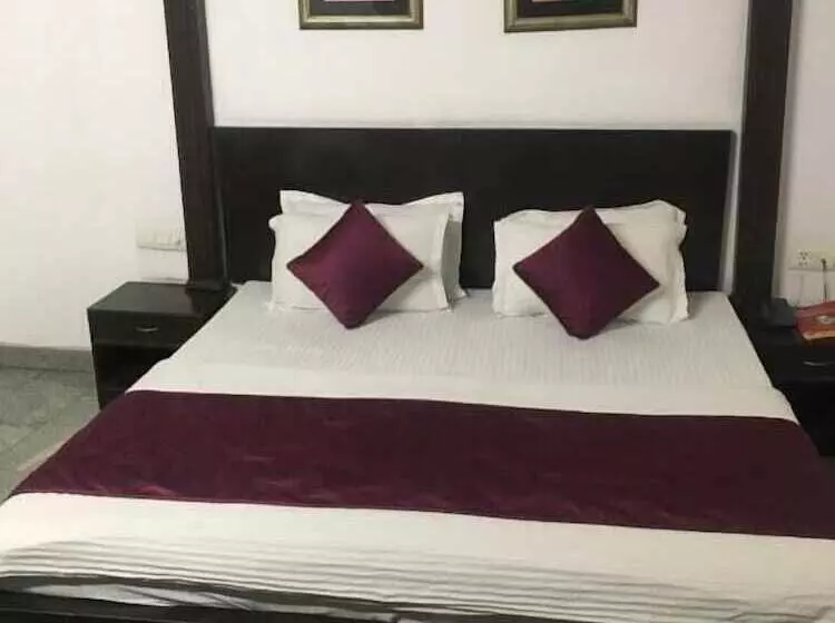 Fotos del hotel Sarthak Palace:  15