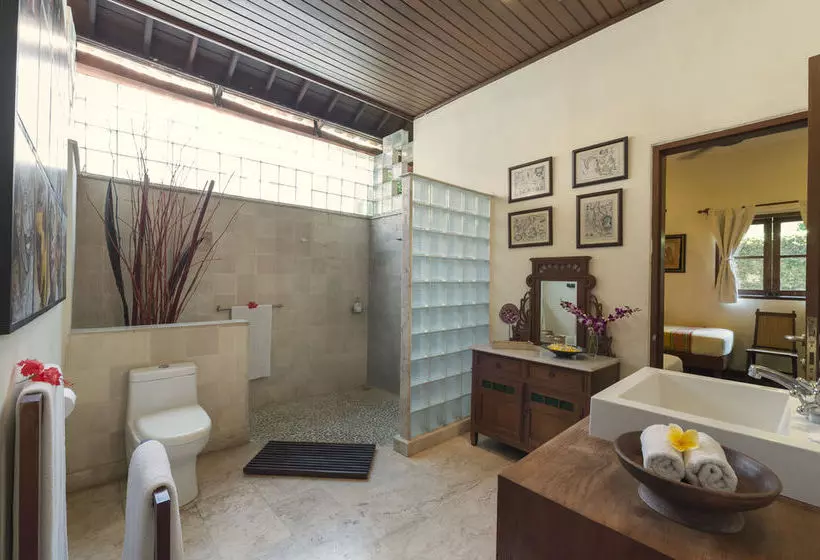 Fotos del hotel Villa 8:  7