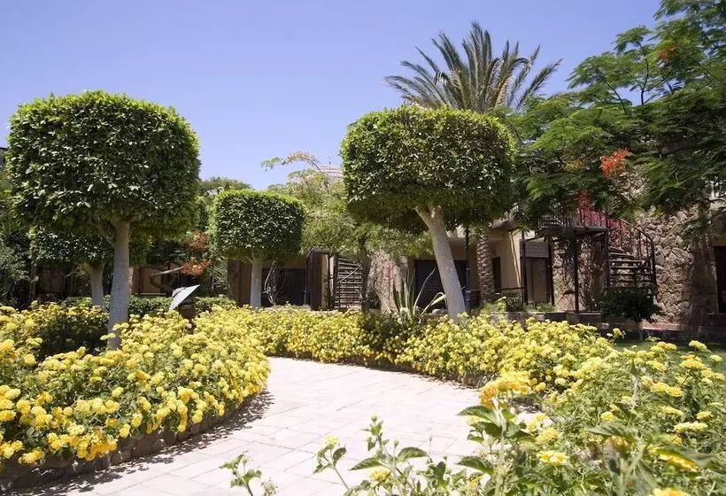 Fotos del hotel Jewels Sahara Boutique Resort:  10