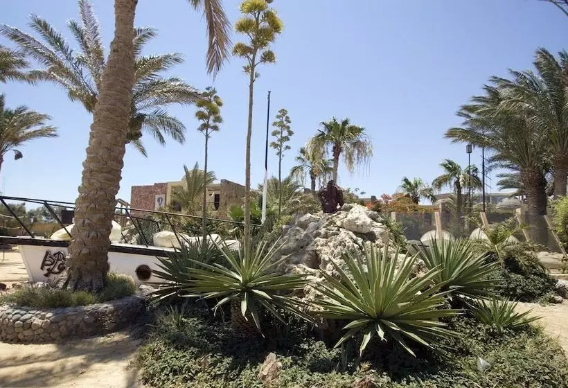 Fotos del hotel Jewels Sahara Boutique Resort:  20