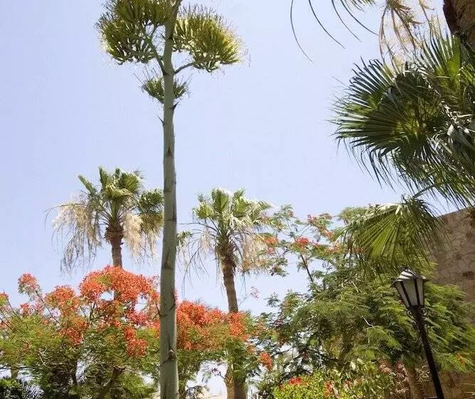 Fotos del hotel Jewels Sahara Boutique Resort:  5