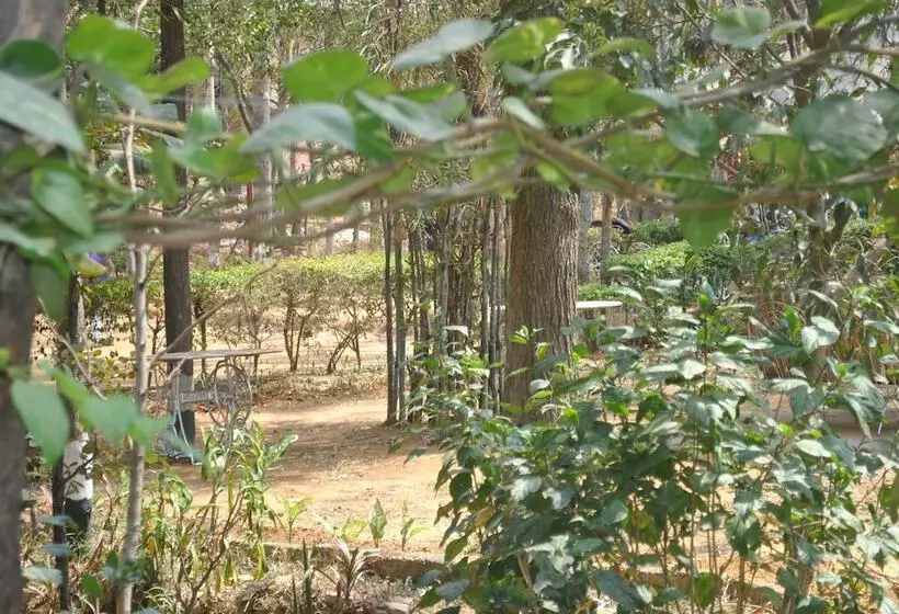 Fotos del hotel Eagle Ridge Resort:  6