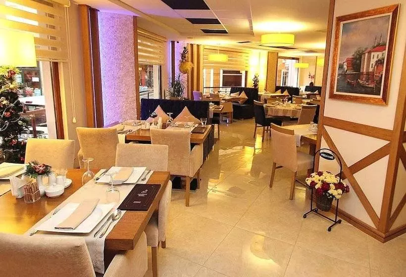 Fotos del hotel Levent Hotel Istanbul:  3