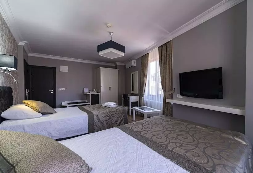 Fotos del hotel Levent Hotel Istanbul:  5